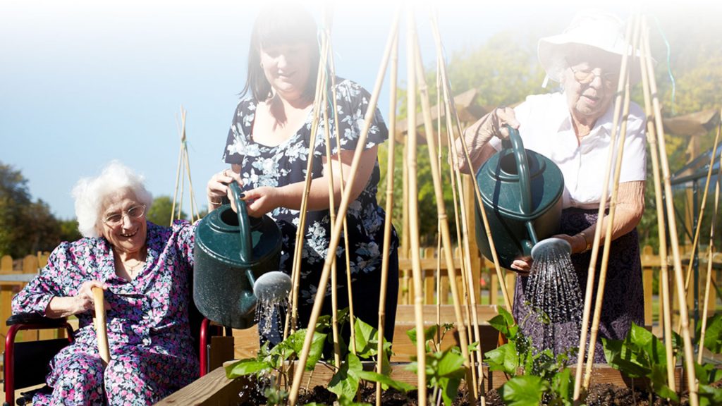 Training Academy Thornton Manor Nursing Home